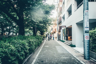 Street amidst trees in city