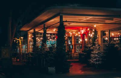 Illuminated christmas tree at night