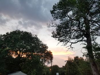 Low angle view of silhouette trees against sky