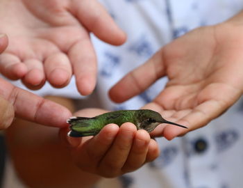 Close-up of person holding hands