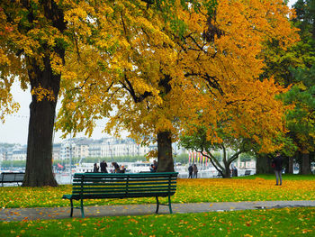 People sitting on bench in park during autumn
