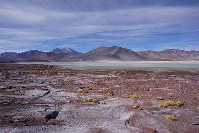 Scenic view of desert against sky