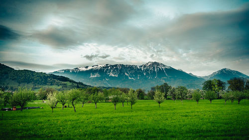 Scenic view of field and mountains against sky