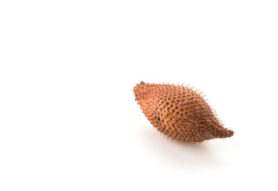 High angle view of strawberry against white background