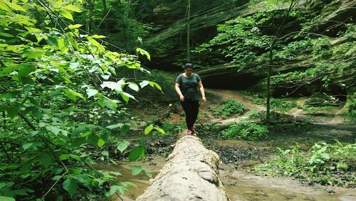 People walking in forest