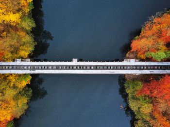 High angle view of lake by trees during autumn