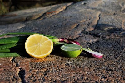 Close-up of citrus fruits and scallions on rock