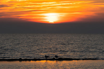 Scenic view of sea against orange sky