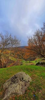 Scenic view of field against sky during autumn