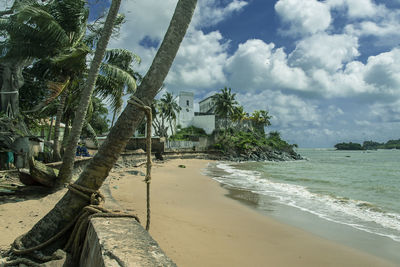 Palm trees on beach against sky