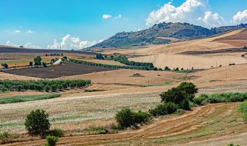 Scenic view of landscape against sky