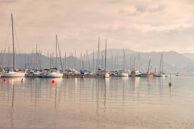 Sailboats moored in harbor against sky