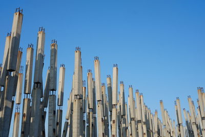 Low angle view of bamboo against clear blue sky