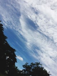 Low angle view of trees against sky