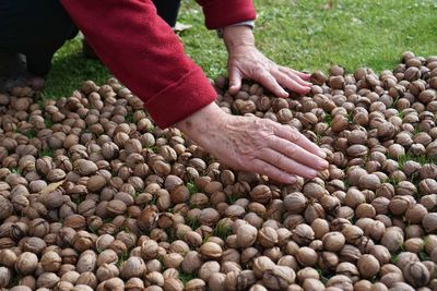 High angle view of man preparing food