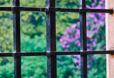 Close-up of metal grate against window