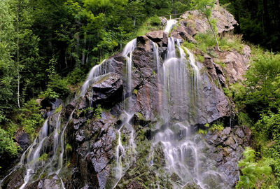 Scenic view of waterfall in forest