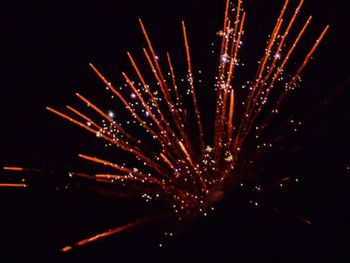 Firework display at night