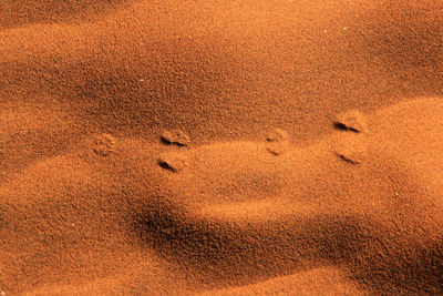 High angle view of footprints on sand