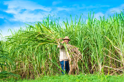 Full length of woman standing in farm