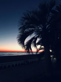 Silhouette palm tree by sea against sky at sunset