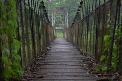 Surface level of footbridge amidst trees in forest