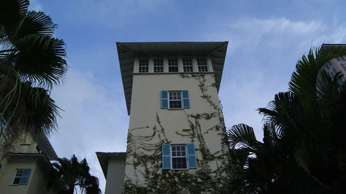 Low angle view of palm trees against sky