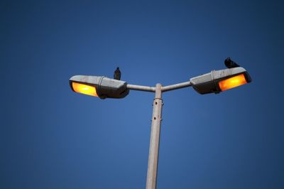 Low angle view of birds perching on street lights against clear blue sky during dusk