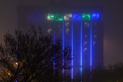 Low angle view of illuminated trees against sky at night