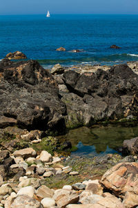 Scenic view of sea shore against sky