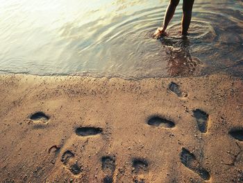 Low section of person walking on wet shore