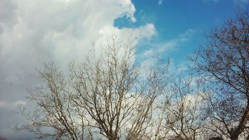 Low angle view of birds against sky