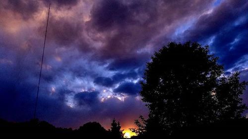 Silhouette of trees against cloudy sky