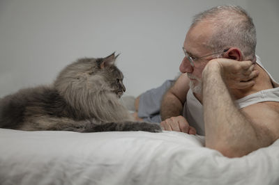 Silver blue maine coon cat and his owner playing on bed