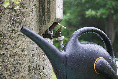 Outdoor gardening tap and watering can