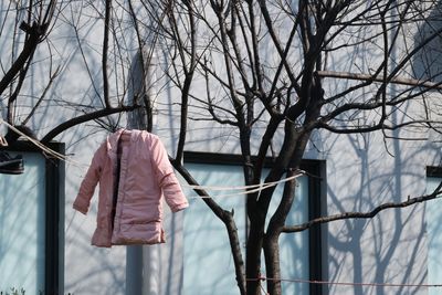 Jacket hanging for drying on bare tree branch