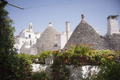 View of plants against the sky