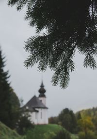 Tree in temple against sky