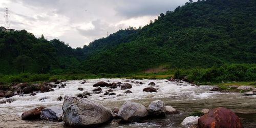 Scenic view of rocks in forest against sky