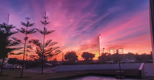 Silhouette trees by street against sky at sunset