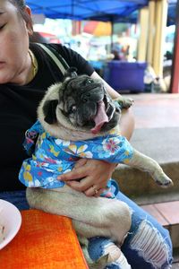 Midsection of woman holding dog sitting by table at restaurant