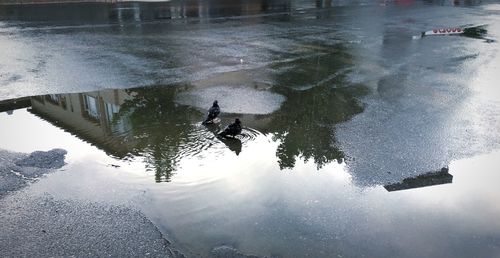 High angle view of man in water