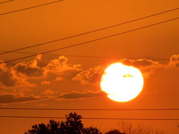 Low angle view of silhouette tree against orange sky