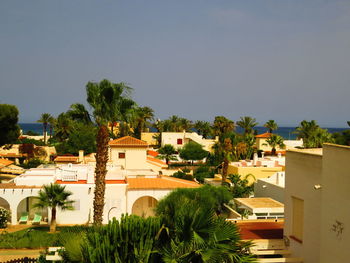 Palm trees and buildings against sky