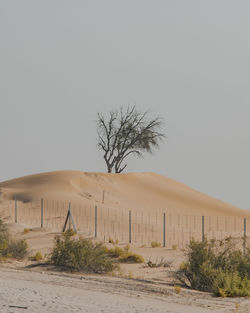 Scenic view of desert against clear sky