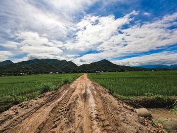 Scenic view of agricultural field against sky