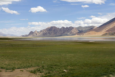 environment