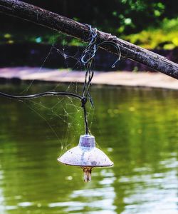Hanging bulb on water