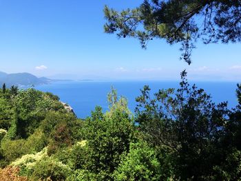 Scenic view of sea against blue sky