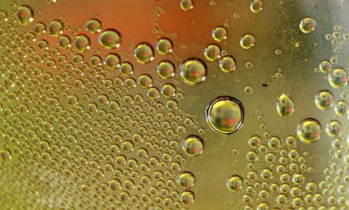 Close-up of water drops on glass